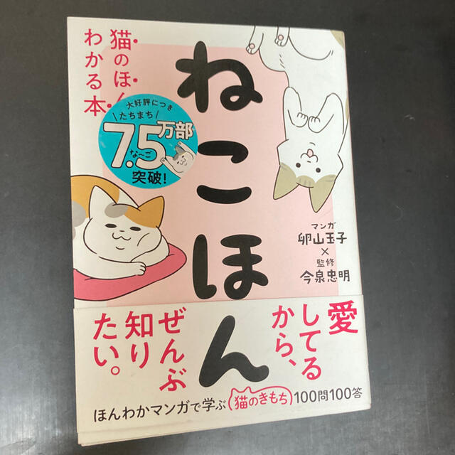 ねこほん エンタメ/ホビーの本(その他)の商品写真