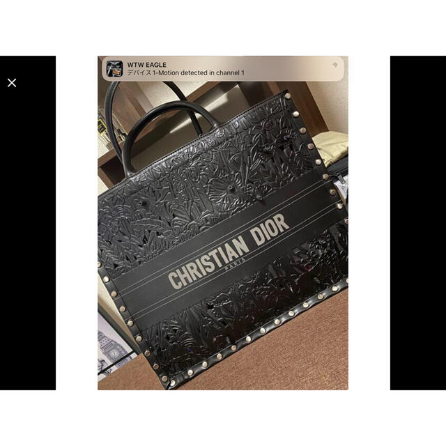 Dior(ディオール)のディオールブックトート レディースのバッグ(トートバッグ)の商品写真