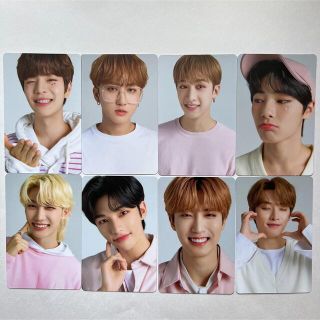 Stray Kids - Straykids nacific 特典トレカ 8枚コンプリート！の通販 ...