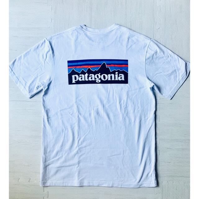 patagonia(パタゴニア)の【古着】パタゴニア　Tシャツ 白　M バックプリント　オーガニックコットン メンズのトップス(Tシャツ/カットソー(半袖/袖なし))の商品写真