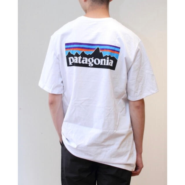 patagonia(パタゴニア)の【古着】パタゴニア　Tシャツ 白　M バックプリント　オーガニックコットン メンズのトップス(Tシャツ/カットソー(半袖/袖なし))の商品写真