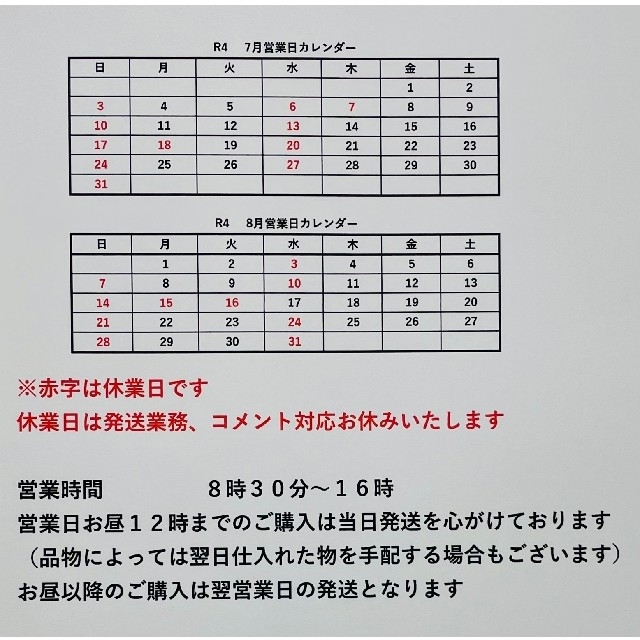 切り干し大根　宮崎県産　千切大根　50g×4袋 食品/飲料/酒の食品(野菜)の商品写真