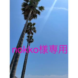 nokko様専用出品(ピアス)