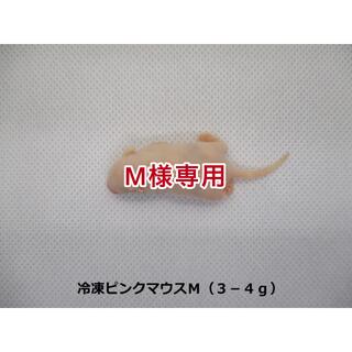 冷凍マウス各種(爬虫類/両生類用品)