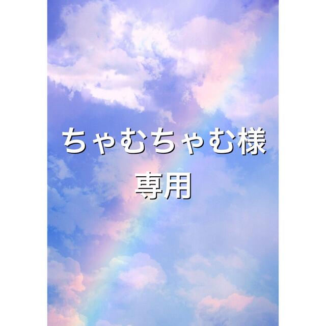 ちゃむちゃむ様専用 ハンドメイドの素材/材料(各種パーツ)の商品写真