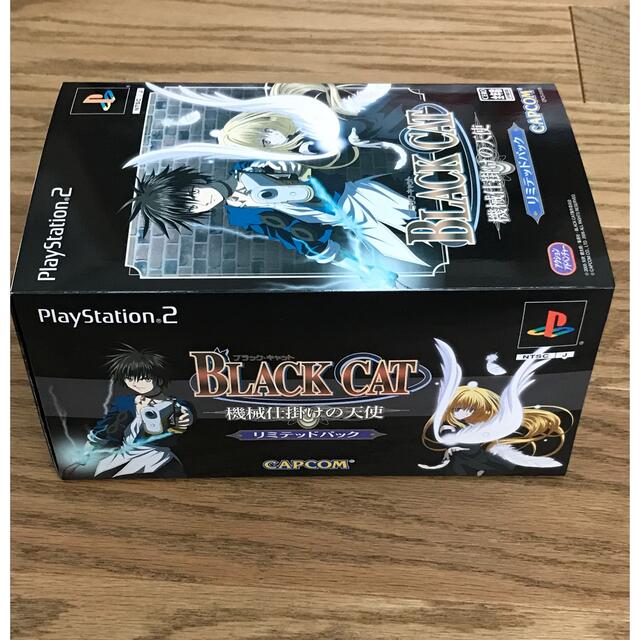 ぴーなっつ様専用　PS2ソフト　ブラックキャット　付属品