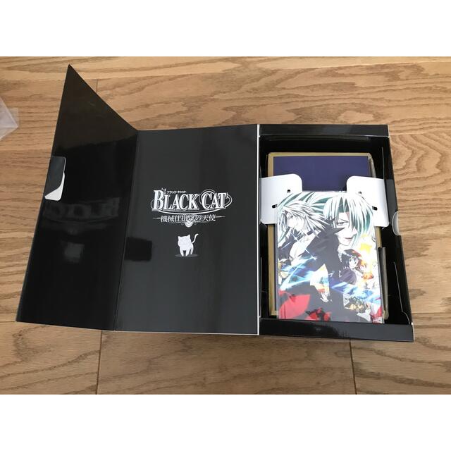 ぴーなっつ様専用　PS2ソフト　ブラックキャット　付属品