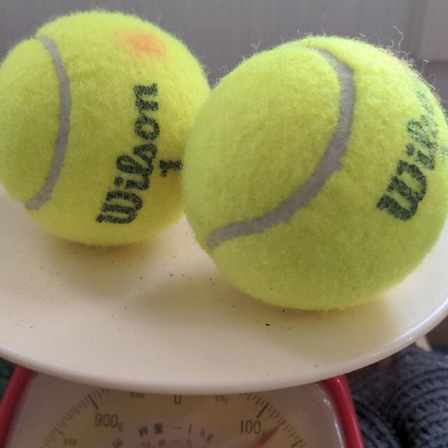 テニスボール1個 & ユーカリの葉 スポーツ/アウトドアのテニス(ボール)の商品写真