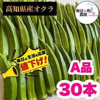 夏野菜【高知県産オクラ】A品　30本　新鮮おくら産地直送！即購入OKです(野菜)