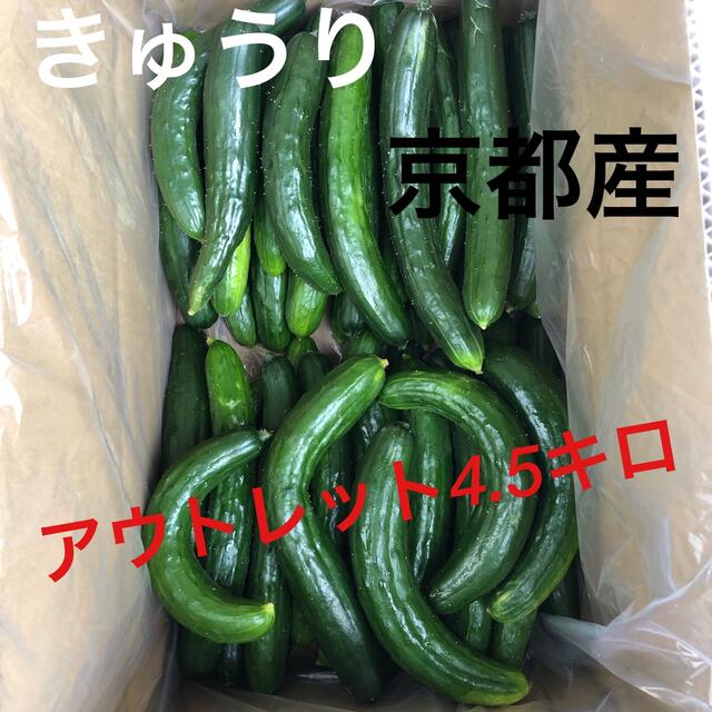 朝採り きゅうり 訳あり アウトレット 京都産 4.5K 京野菜 胡瓜 産地直送 食品/飲料/酒の食品(野菜)の商品写真