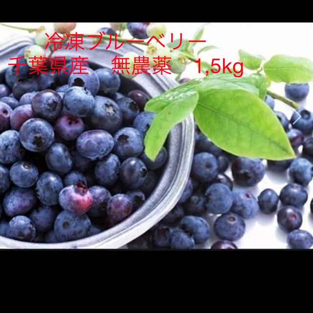 岩手県産ブルーベリー冷凍4kg【無農薬】 - フルーツ