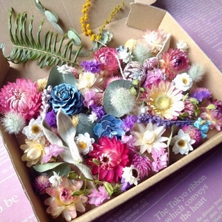 ドライフラワー＆木の実♥花材詰め合わせBOX　ピンク系(ドライフラワー)