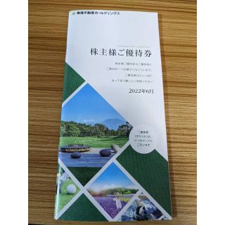 東急不動産 株主優待券  1000株冊子  2022年6月発行(その他)