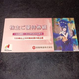 ハワイアンズ優待券　1冊(遊園地/テーマパーク)