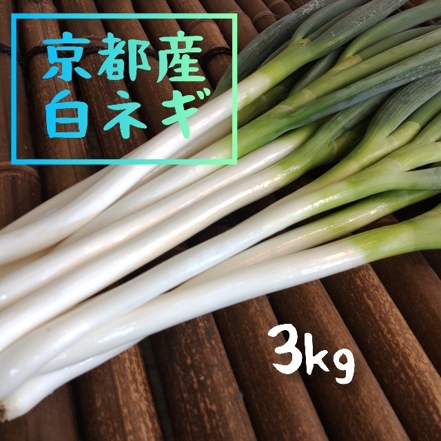 京都産　白ネギ　長ネギ　新鮮　無農薬　3kg（第1弾） 食品/飲料/酒の食品(野菜)の商品写真