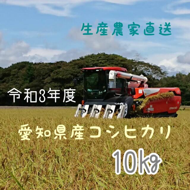 米/穀物　愛知県産コシヒカリ　10㎏（白米9㎏）