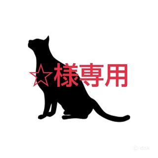 カトゥーン(KAT-TUN)の亀梨和也　ソロコン〜Followme〜トートバッグ(アイドルグッズ)