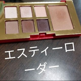 エスティローダー(Estee Lauder)のピュアカラーエンヴィ アイ アンド チーク パレード ヌード(アイシャドウ)