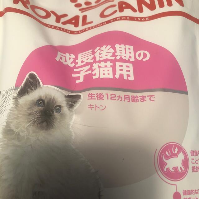 ROYAL CANIN(ロイヤルカナン)のロイヤルカナン　キトン　子猫後期　2kg   ドライ　新品未開封 その他のペット用品(ペットフード)の商品写真