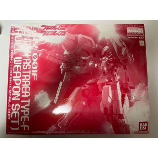 バンダイ(BANDAI)のMG 1/100 ガンダムアストレア TYPE-F（フルウェポンセット）(模型/プラモデル)