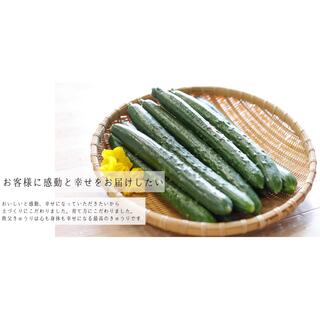 秩父きゅうり良選（1キロ）冷蔵便(野菜)