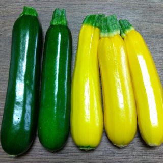 ☆朝採り☆自家栽培ズッキーニ１kg以上(野菜)