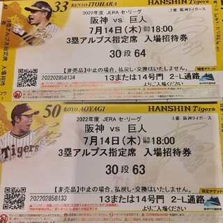 ハンシンタイガース(阪神タイガース)の阪神×巨人戦　ペアチケット(野球)