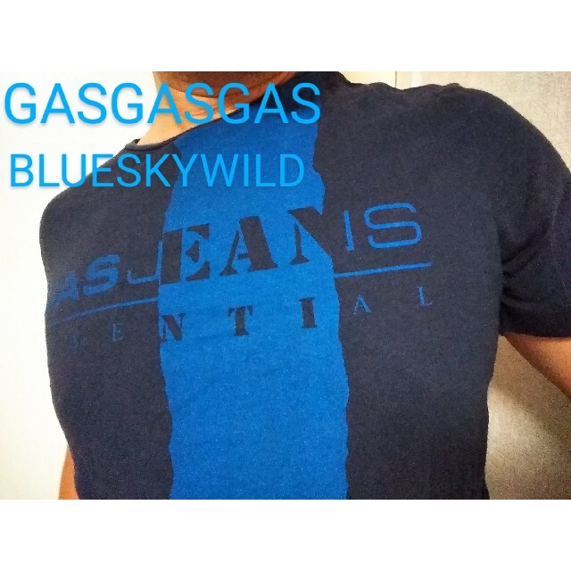 GAS(ガス)のGAS STREET STYLE ツートンカラーデカロゴワイルドネイビーTシャツ メンズのトップス(Tシャツ/カットソー(半袖/袖なし))の商品写真