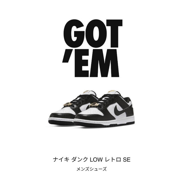 メンズNike Dunk Low Retro SE  World Champ