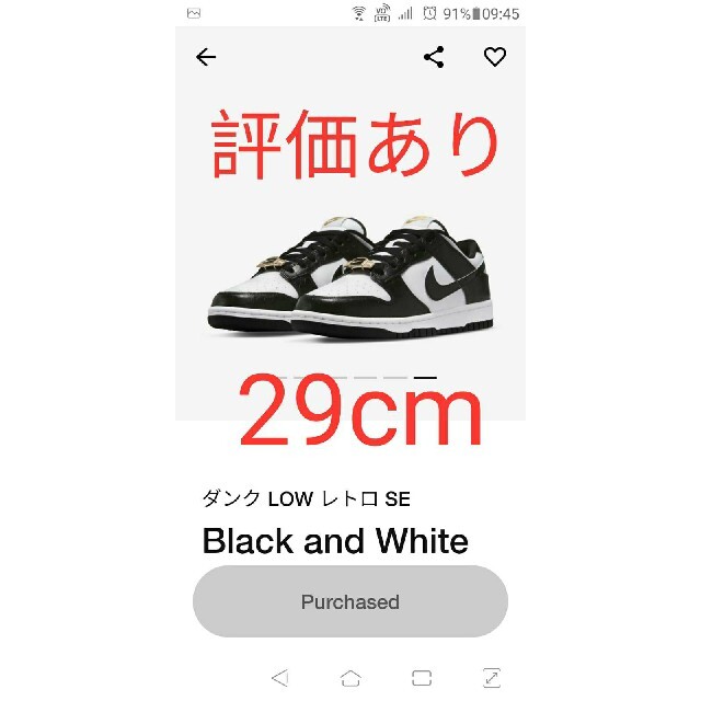 NIKE(ナイキ)のレオ樣專用Nike Dunk Low Retro SE  29cm メンズの靴/シューズ(スニーカー)の商品写真