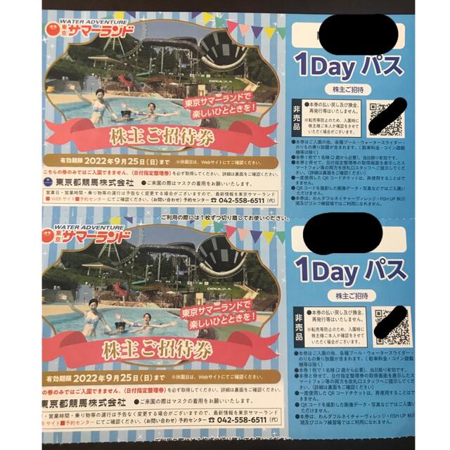 東京サマーランド 株主優待 1Dayパス 2枚