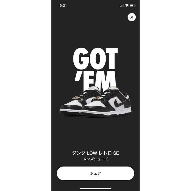 Nike Dunk Low Retro SE "Black and White"nike