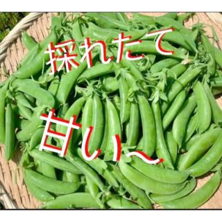 無農薬スナップエンドウ(野菜)