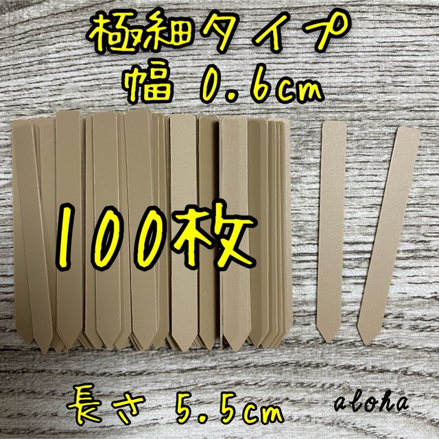 ベージュ　ガーデニング 多肉植物に◎ 園芸用 ラベル ネームラベル 100枚 ハンドメイドのフラワー/ガーデン(その他)の商品写真