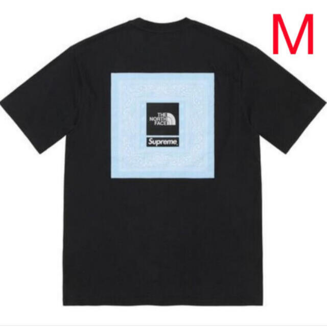 Supreme The North Face Bandana Tee Black