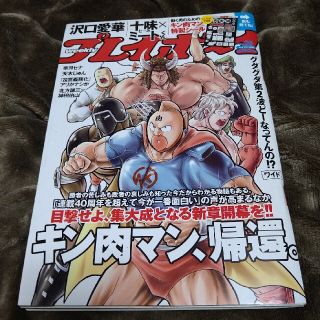 週刊 プレイボーイ 2020年 8/31号(その他)