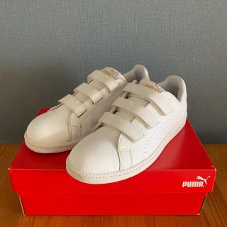 プーマ(PUMA)のプーマ　23.5cm(スニーカー)