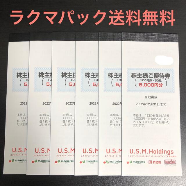 USMH 株主優待21000円分