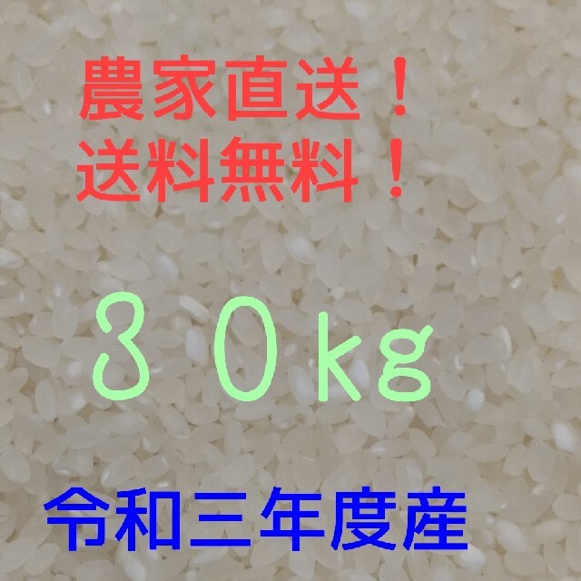 愛媛県産お米ヒノヒカリ３０kg食品
