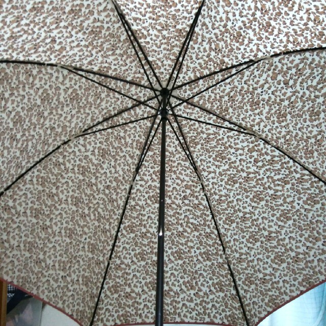 LAZY SUSAN(レイジースーザン)のLAZY SUSAN  晴雨兼用長傘 レディースのファッション小物(傘)の商品写真