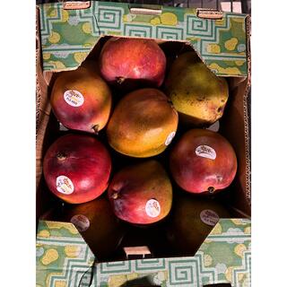 コストコ(コストコ)の【ケント種】メキシコ産 マンゴー 9玉　約4kg(フルーツ)