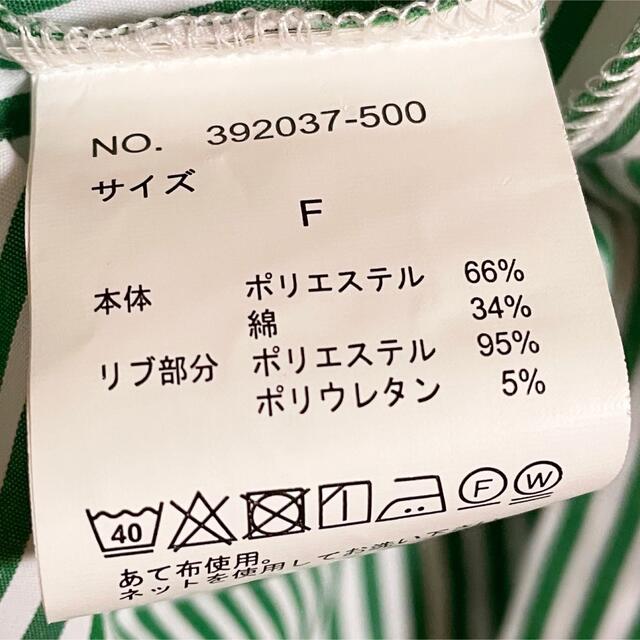 未使用　グリーン　ストライプ シャツ レディースのトップス(シャツ/ブラウス(長袖/七分))の商品写真