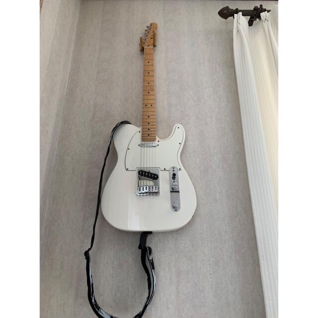 FENDER Player Tele MN PWT ギター(ギグバッグ付)① - www.tigerwingz.com