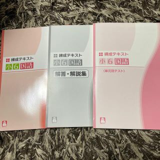 Perth様専用✨練成テキスト小6国語・算数(語学/参考書)