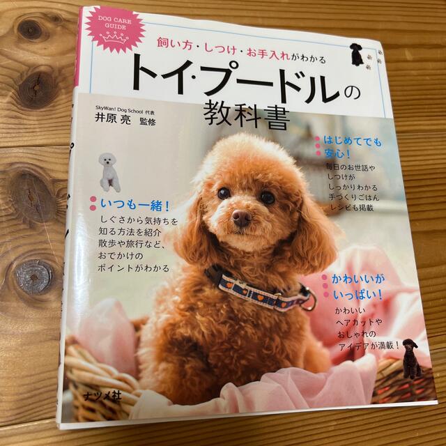 トイプードルの教科書 その他のペット用品(犬)の商品写真