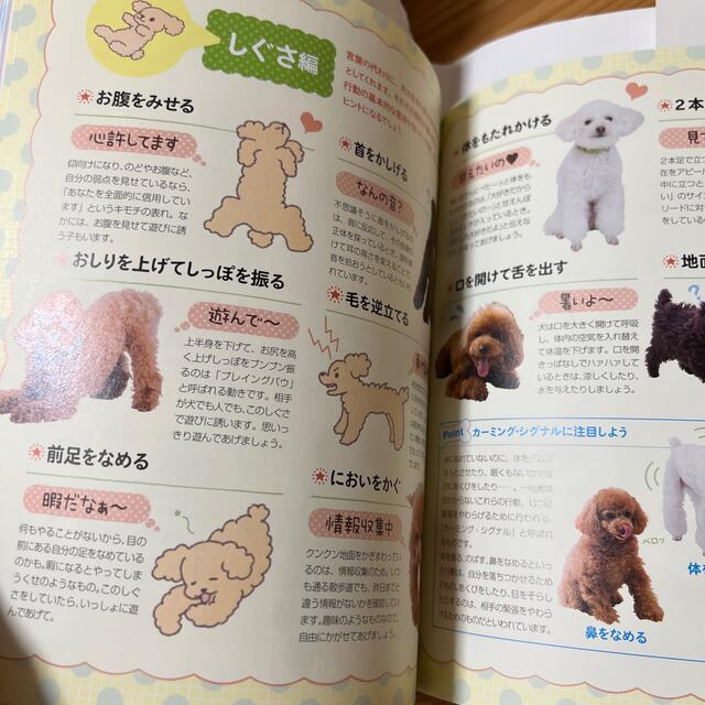 トイプードルの教科書 その他のペット用品(犬)の商品写真