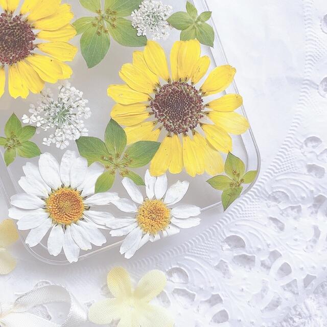 ひまわりとマーガレットのケース♡押し花スマホケース♡押し花 ひまわりとマーガレットのケース♡押し花スマホケース♡押し花