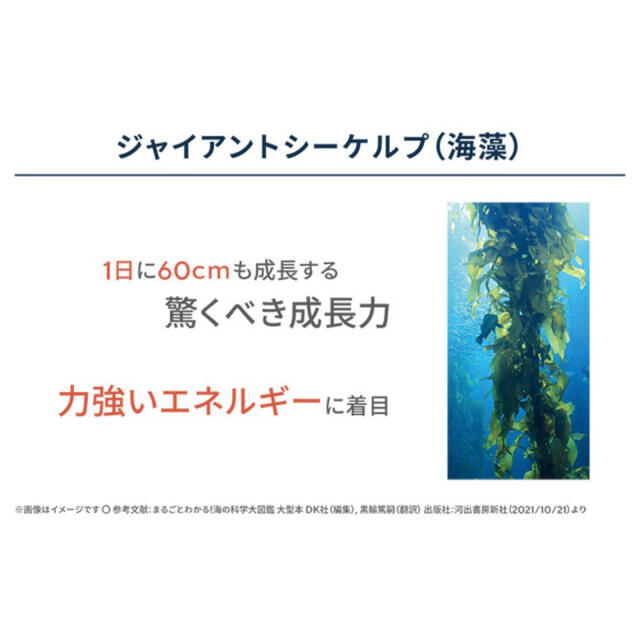 サイムダン プレミアム CICAスキンガードUVスティックバーム  30g 2個