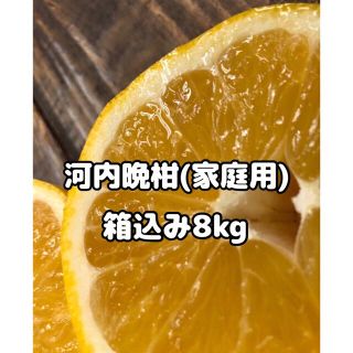 愛媛県産 家庭用 河内晩柑 箱込8kg 柑橘 みかん 果物(フルーツ)