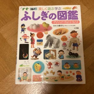 ショウガクカン(小学館)のふしぎの図鑑 楽しく遊ぶ学ぶ(絵本/児童書)